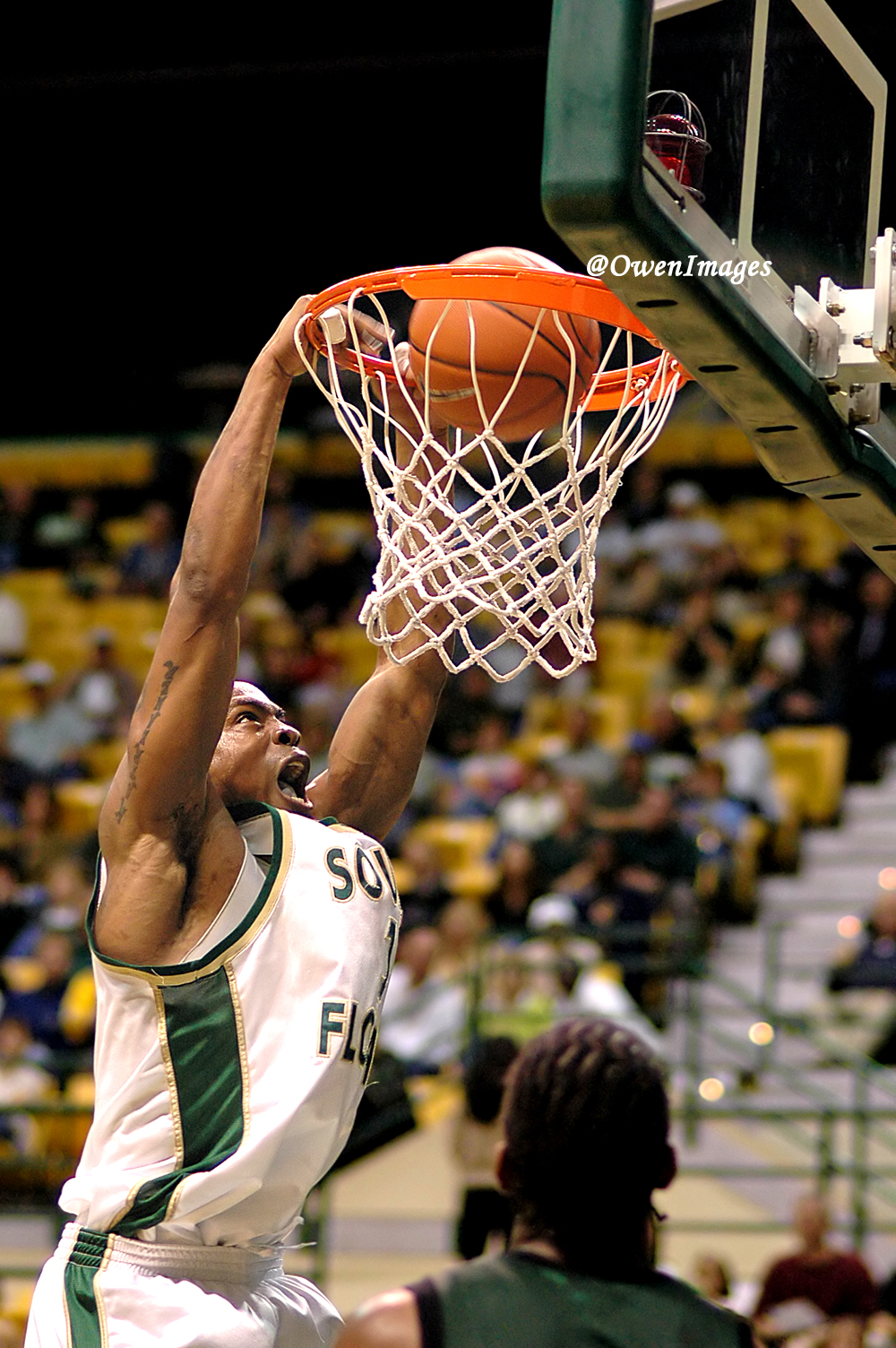 Photography Event Coverage of a USF Basketball Game